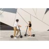 Segway Ninebot E25E Electric Scooter - Adult E Scooter - UK Edition