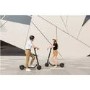 Segway Ninebot E25E Electric Scooter - Adult E Scooter - UK Edition