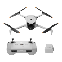 DJI Lito X1