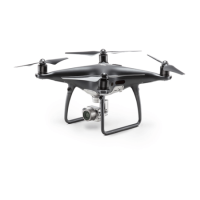 DJI Phantom 4 Pro Plus Obsidian Edition