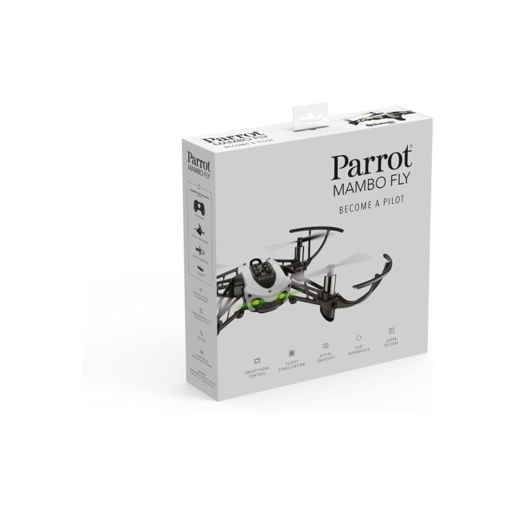Parrot Mambo Fly
