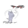 ProFlight Panthera - Cat Toy Drone - Including Catnip & Three Cat Toy Attachments - *Due Soon*