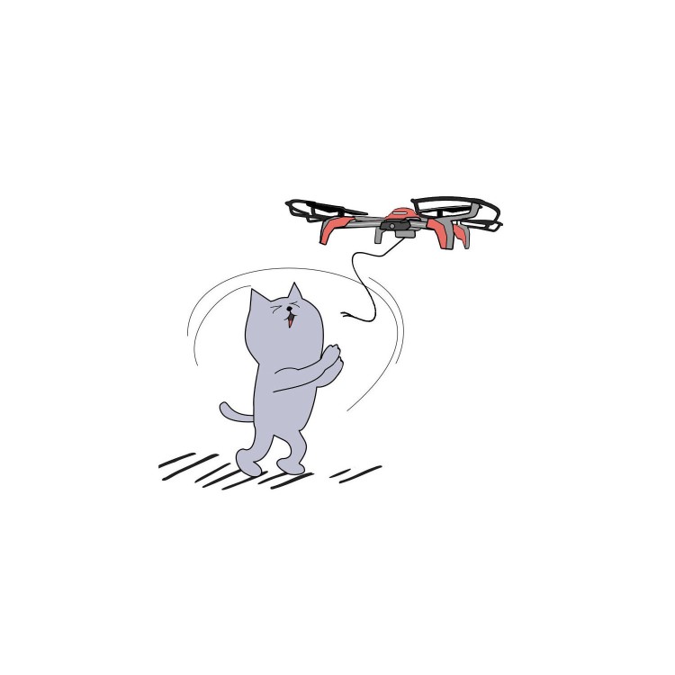 ProFlight Panthera - Cat Toy Drone - Including Catnip & Three Cat Toy Attachments - *Due Soon*