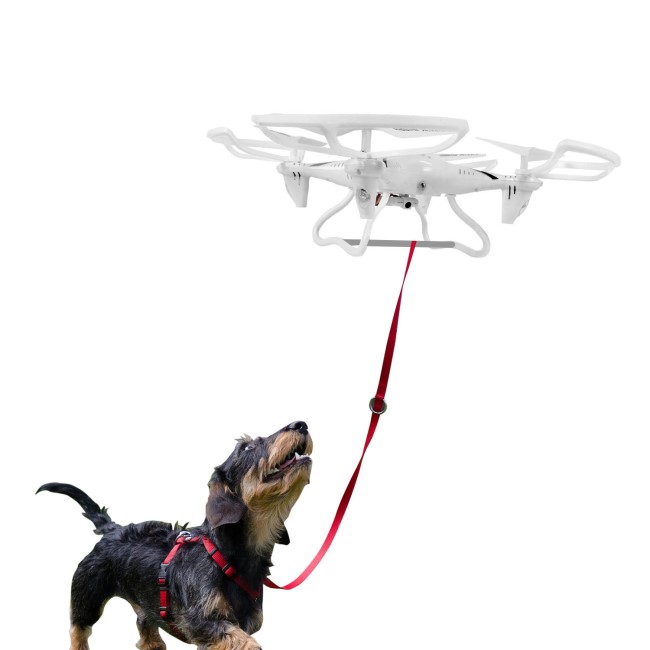 ProFlight Walkies Dog Drone
