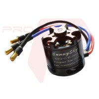 SunnySky X2212 980KV