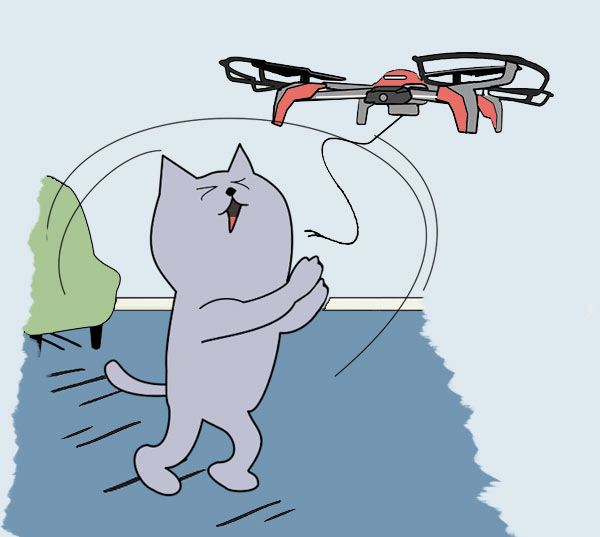 fit cat playing with drone