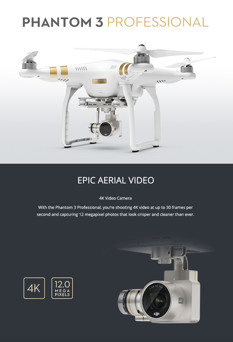 Phantom 3 - Professional Edition - From Drones Direct