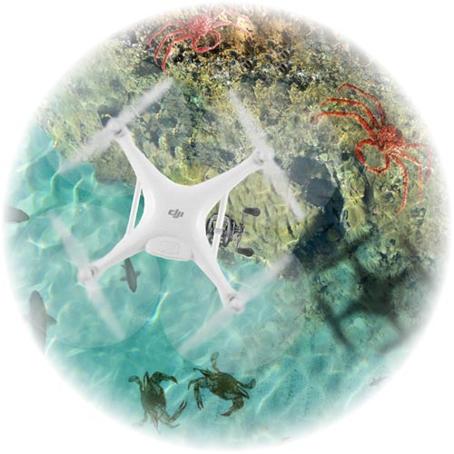 DJI Phantom 4: Fishing Edition