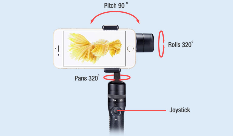 power in palm